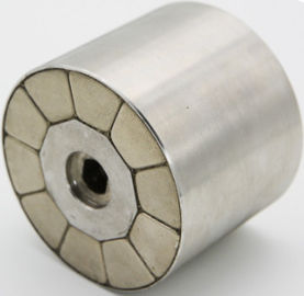 comprar Ímãs permanentes NiCuNi do motor do neodímio que reveste a cor de prata brilhante online manufacture